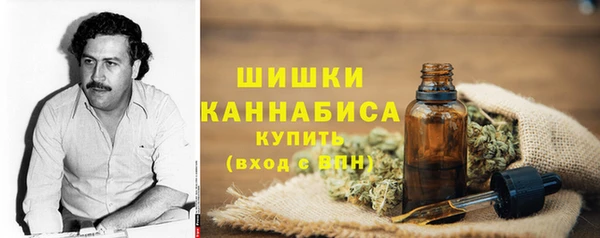 спиды Бугульма