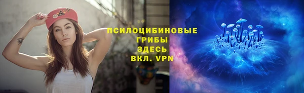 твердый Бронницы