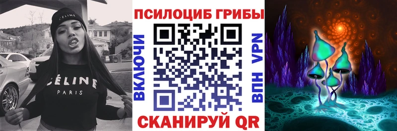 где купить наркоту  Медвежьегорск  Галлюциногенные грибы GOLDEN TEACHER 